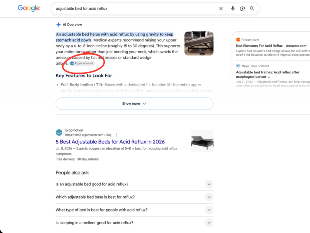 ranking in google AI overview